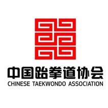 태권도 송판 격파 보드쇼 보드게임 보드복싱 훈련 어른, 21 F12-패턴 맞춤3두께asymp0.9cm패턴 맞춤