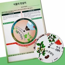 DIY 식물 관찰 한살이 보고서 키트 5인 실습 학습 의학 실험 교구 창의 방과후