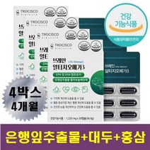 어르신 기억력향상 뇌건강영양제 DHA 오메가3 은행잎 추출물 대두 레시틴 홍삼농축 분말 포도씨유 플라보놀배당체 알티지오메가쓰리 브레인 뇌 두뇌 케어 기억력 인지력 혈관영양제
