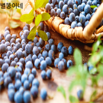 생블루베리 블루베리생과 칠레산 미국산 수입 국산, 500g
