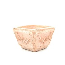 다육식물 뿌리관리 배수원활 분갈이토분 군생 염자 야외테라스 집꾸미기 샤를로스, o(단순변심불가)