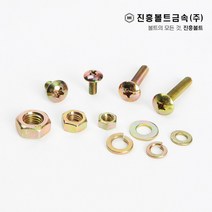 일반 트러스 머리 볼트(6mm ~ 50mm) M4 M5 M6, 40mm