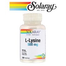 Solaray L Lysine 엘 라이신 HCL 500mg 120 베지캡슐