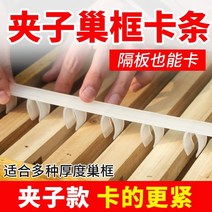 벌통 하이브 프레임 플라스틱 카드 스트립 꿀벌 상자 카드 프레임 장치 카드 프레임 슬롯 둥지 비장 홀더 벌집 전환 특수 양봉 도구, 흔들리고 떨어지지 않음 클립형 카드띠  50매