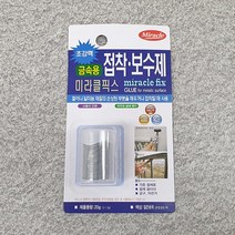 미라클픽스 접착보수제 금속용 20g, 단품
