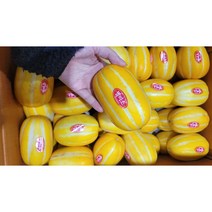 달달과수원 고당도 꿀 참외 특품 로얄사이즈, 1박스, 가정용10kg(랜덤과) 반품불가