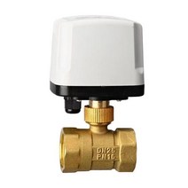 블로우오프밸브 ip65 방수 전동 볼 밸브 220v 12v 24v 3-와이어 2 제어 황동 전기 볼 밸브 큰 토크 금속, DN50, 220VAC