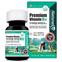 네추럴lize 프리미엄 비타민 b12 90정 메틸 코발라민 고함량 비타민비 영양제 추천, 3개, 3개월(90정)