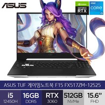 ASUS TUF Dash F15 FX517ZM-12525 i5 RTX 3060 문라이트화이트, Free DOS, 16GB, 512GB, 코어i5