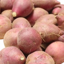 팍팍한 옛날밤고구마 알밤크기 2kg, 알밤고구마 2kg, 1개