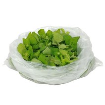 그린팜 생 애플민트 100g, 1개