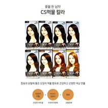 댕이몰 꽃을든남자 염색약 8종류, 밝은갈색