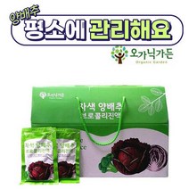 오가닉가든 붉은양배추즙 브로콜리액기스 30포 위식도 관리 역류성 건강 엑기스 진액 선물