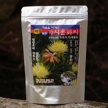 토종 가시 흰 홍화씨 분말 250g~ 겨울나고 유황뿌린 홍화씨, 250그램 1개