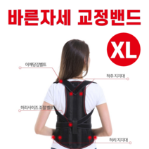 이한선생활과학 뉴 바른자세 밴드 의자 앉는습관 XL 사이즈, 1개
