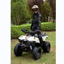 2023 최신 그린 필드 125CC ATV 수출 도매 4륜 오프로드 차량 오토바이 ATV, 만능 사륜오토바이