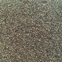 도라지씨앗 50g/200g/400g/500g/1kg/국내산 도라지 종자, 50g