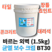 ECO 에코방탄 균열 보수 크림 BT30 방수제 보수제 콘크리트보수제 수용성방수제