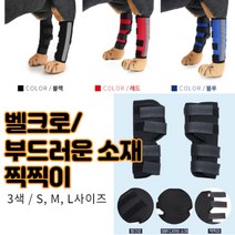 최강몰 강아지 말티즈 슬개골 쓸개골 고관절 골절 탈골 탈구 마사지 보호대 S M L 쓸개골보호대, 블루M