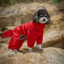 애견 레인코트 중소형견 쉐나레비 곰돌이 푸 테디 강아지 레인코트 네발 올인원 레인코트, 강아지 레인코트-레드-수컷, 14#L/등길이 30 가슴둘레 53cm 8-13근 적용