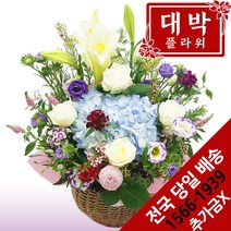 대박플라워 바다보러갈래 꽃바구니 생일선물 기념일 출산꽃선물 병문안 꽃배달