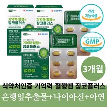 은행잎추출물 혈액순환제 징코 기억력 혈행 영양제 플라보놀배당체 혈관에좋은영양제 식약처인증 부모님 판토텐산 나이아신 아연 비타민B, 90정