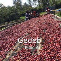 [위트러스트] 에티오피아 게데브 내추럴 500g Ethiopia Gedeb G1/ 스페셜티 커피 원두, 홀빈