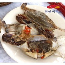 장안씨푸드 국내산 급냉 냉동 알배기 암꽃게 일키로 5마리내외, 1box, 1kg