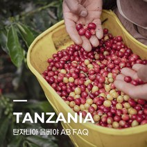 [생두] 탄자니아 음베야 AB FAQ 1kg
