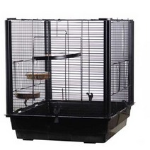 날다람쥐 사육장 슈가 글라이더 케이지 하우스 애완, 표준 케이지