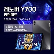 레노버 Y700 리전패드 레노버 태블릿 최상위 모델 항공특송, 8+128g, 8+128G
