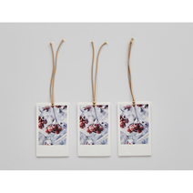 모던하우스 감성 스노우베리 종이방향제 미니 3P AR0522066