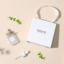 블랑16 차량용 차안 냄새제거 천연 디퓨저 방향제 새차 신차 선물 세트, 엠버우드