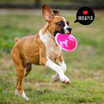 프리스비 강아지운동기구 보더콜리장난감 프리스비원반 핑크
