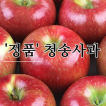 [청송사과] 정품사과 산지에서~ 믿고먹는 소미네사과, 1개, 04.정품사과 5kg 선물/재수용 (9과~12과내외)