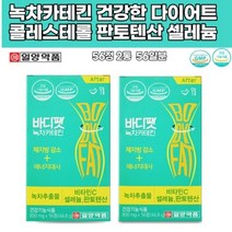 녹차카테킨 다이어트 폴리페놀 항산화 카테틴 녹차추출물 체지방감소 에너지대사 콜레스테롤개선 비타민