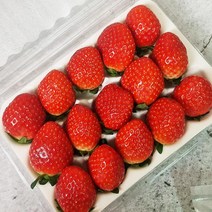 담양 생 딸기 설향딸기 선물 특대과 대과 맛좋은 딸기1kg 500g, 딸기대과1kg
