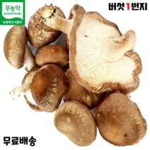 [표고느타리놀이] 버섯1번지 장흥 무농약 국내산 못난이 표고버섯 2kg 실속형