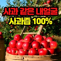 네츄럴샵 명품 사과즙 아기 사과주스 100% 여름음료 50포 100포, 1개, 100개입