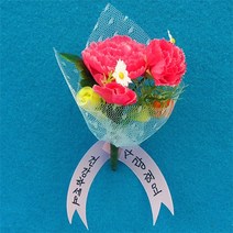에이치에스컴퍼니 에이치에스컴퍼니 DIY종이봉투 종이꽃만들기 엽서만들기 DIY재료 DIY가방, 옵션선택 카네이션(A) 1인용 카네이션만들기 어버이날