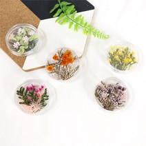 프리저브드 드라이플라워 냉장고 자석 투명 액자, 원형플라워(소)퍼플