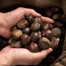 스테비아 생율 밤 1kg 칼집 먹기편한