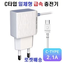 삼성 갤럭시 C타입 일체형 급속 충전기, 1개