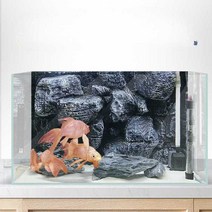 비바리움 테라보드 백스크린 유리장 탈취패드 아트폼, PU55-1 록