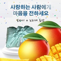 과일의 여왕 [특대] 로얄 애플망고 프리미엄 고당도 달콤한 애플망고 페루산, 애플망고선물세트
