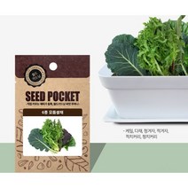 월드가드닝 행복한 텃밭 좋은 씨앗, 6종모듬쌈채씨앗 2000개