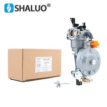 GX200 3KW 6.5HP 엔진 LPG 기화기 듀얼 연료 NG 변환 키트 가솔린 발전기 워터 펌프 부품 2KW 168F P19-LPG, 한개옵션0