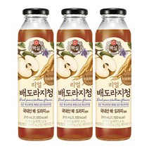 백설 리얼배도라지청 310ml 3개, 3개_생강
