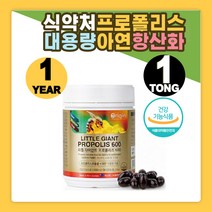 SOD 에스오디 항산화 도움 프로폴리스 365캡슐 오리진 리틀자이언트 식약처인증 대용량 아연 뉴질랜드 활성 유해 산소 억제 먹기 쉬운 편한 연질 캡슐 알약 환절기 보충제