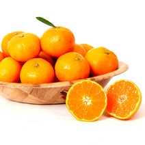 [올레돌밭농원] 23년 제주직송 햇 하우스감귤 1.5kg 2.5kg 4.5kg 가정용, 2.5Kg (소과), 1개